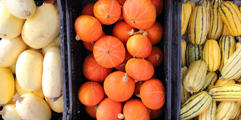 pumpkins, squash, gourds