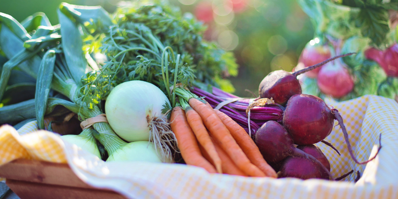 onions, carrots, beets in a basket